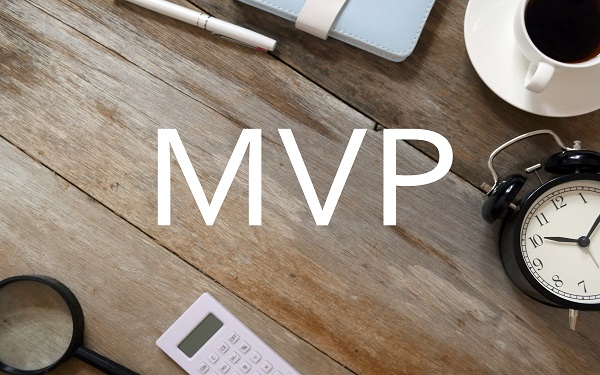 MVP (Minimum Viable Product)